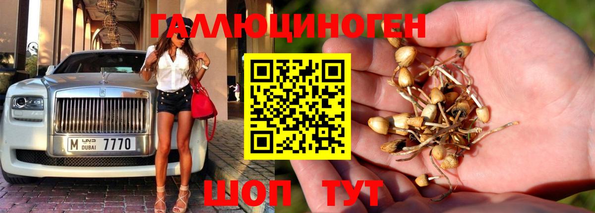 Псилоцибиновые грибы ЛСД  Вход с VPN  Родники 